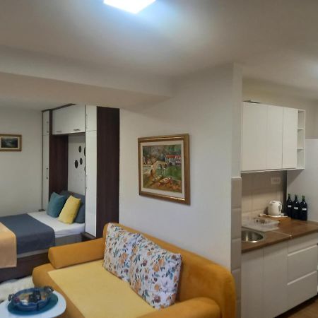 T-A Apartment Rijeka Crnojevića Exteriér fotografie