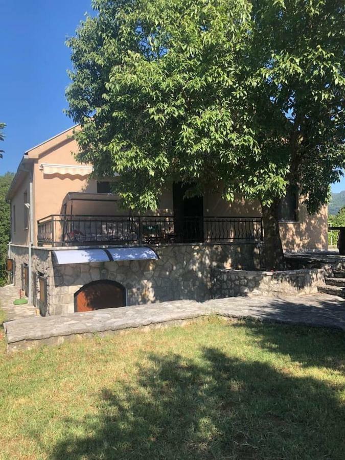 T-A Apartment Rijeka Crnojevića Exteriér fotografie